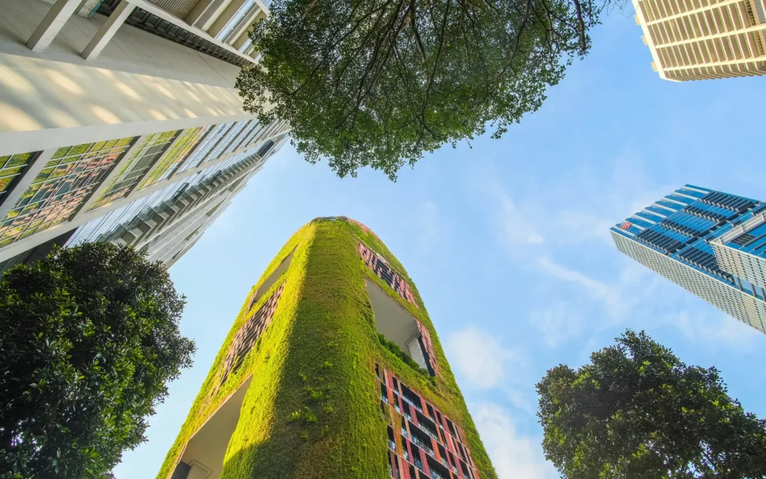 Can Sustainable Investments Still Deliver Strong Returns?