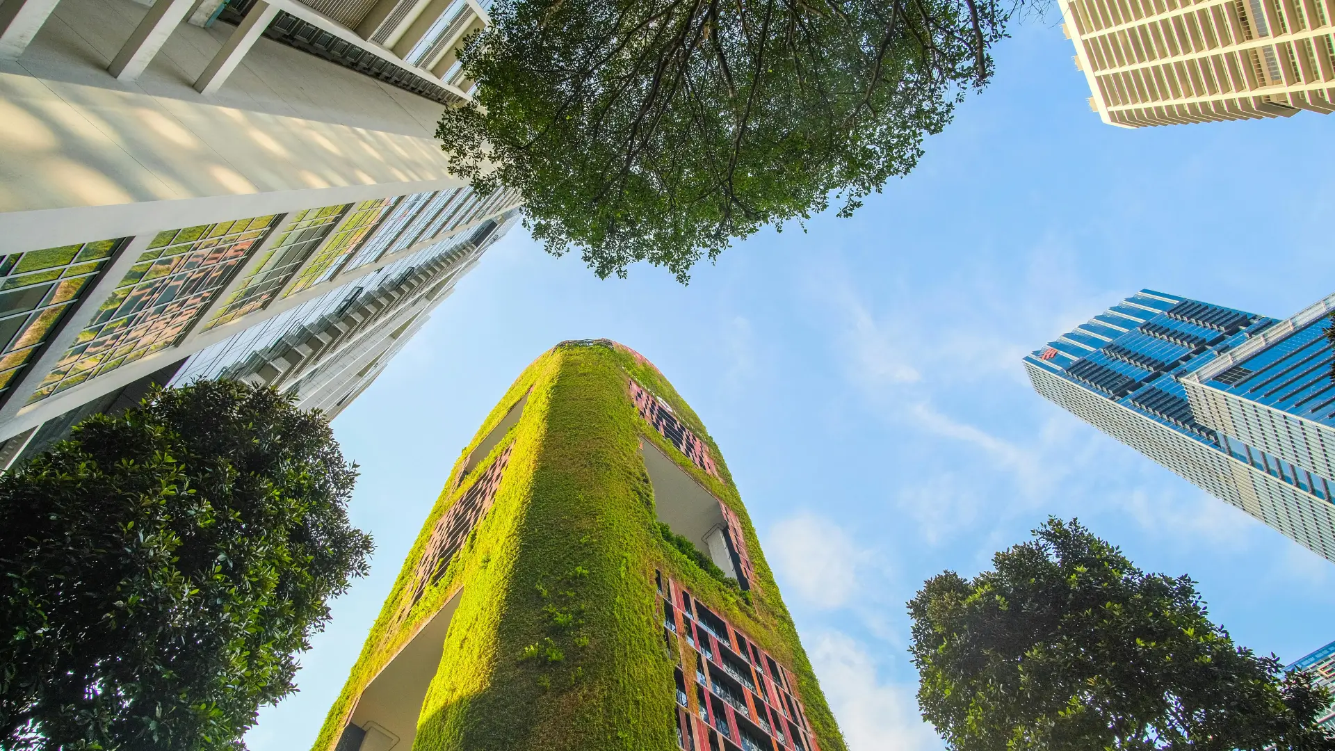 Can Sustainable Investments Still Deliver Strong Returns?